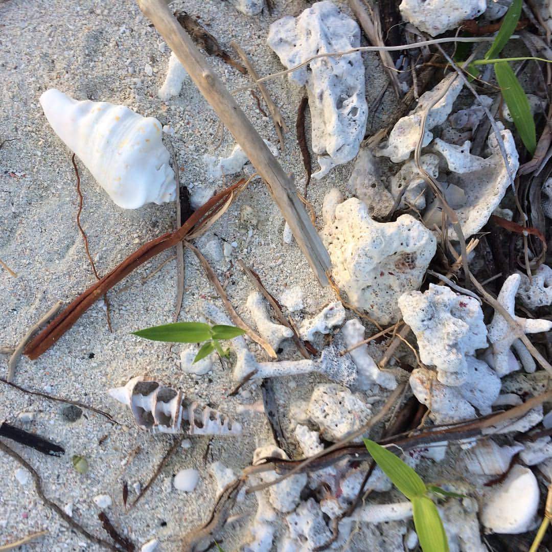 FB_IMG_1512388456651