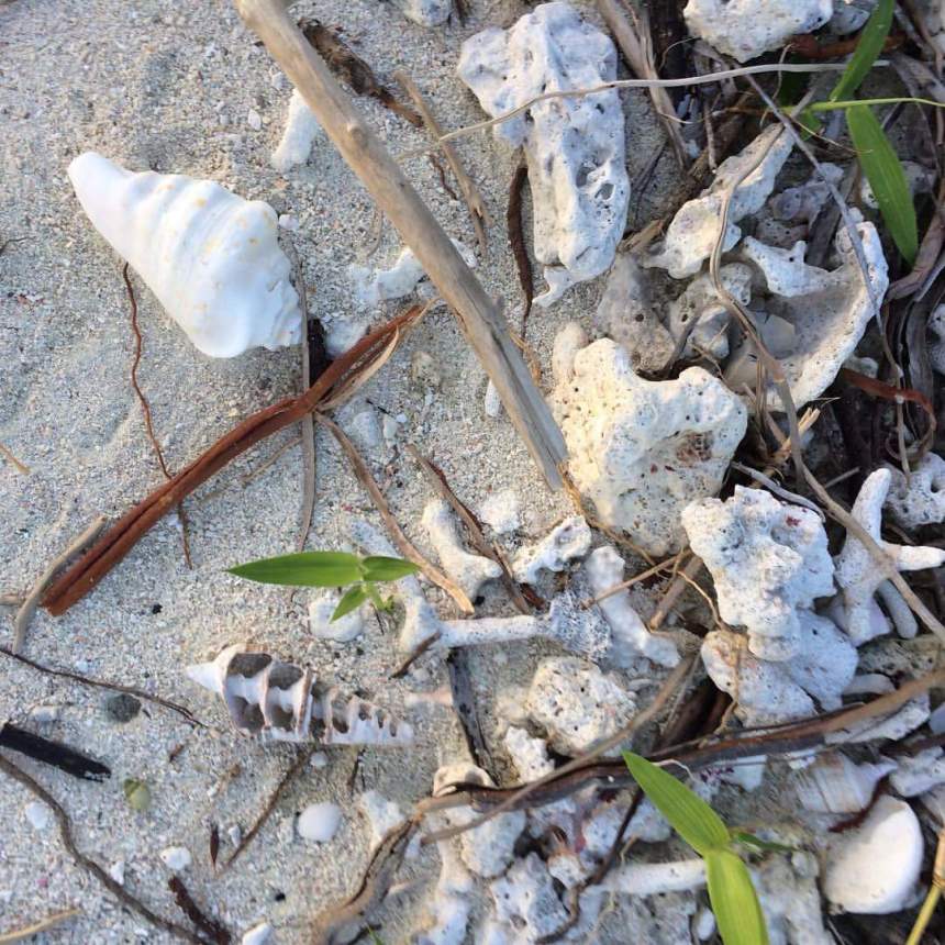 FB_IMG_1512388456651